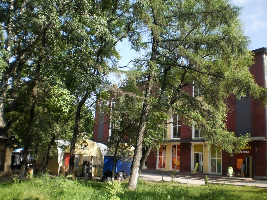 Историко-краеведческий музей города Артем